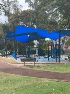Hakea Image