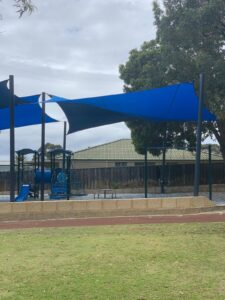 Hakea Image