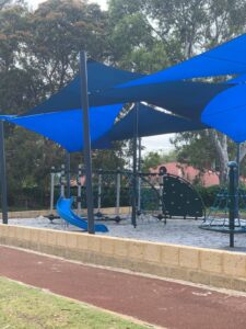 Hakea Image