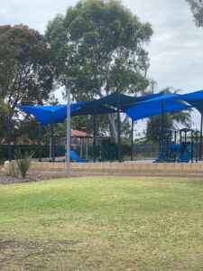 Hakea Image
